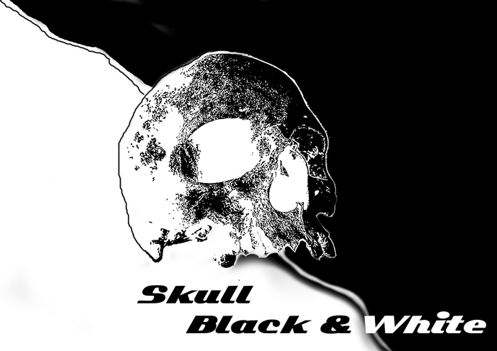 Skull Black & White Digital Art 4K