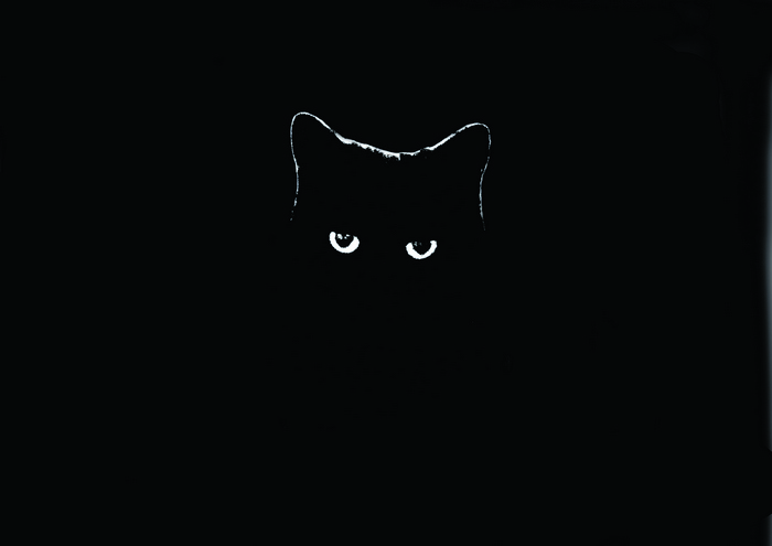 Black cat with glowing eyes in the dark