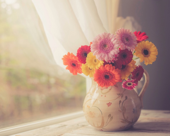 Gerbera flowers in a decorative vase by the window