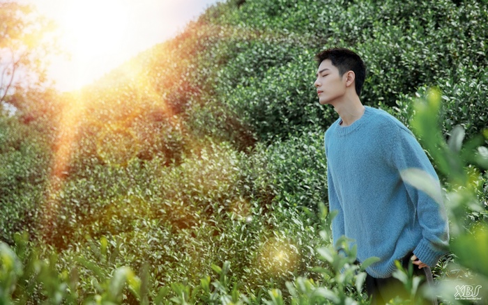 Xiao Zhan in a blue sweater in a tea field