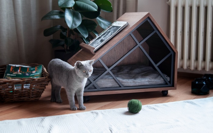 Cat in a modern pet house with a ball of yarn