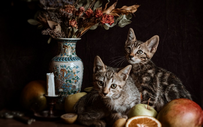 Two tabby kittens in a still life with fruit and flowers