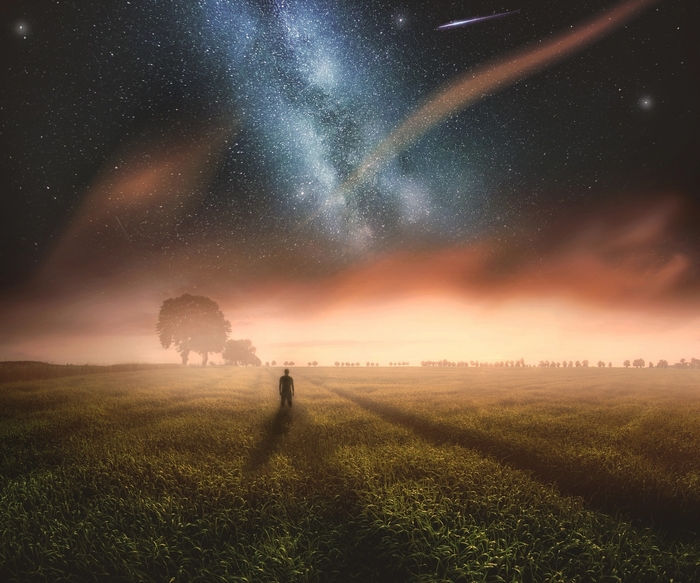 Man standing in a field under the Milky Way