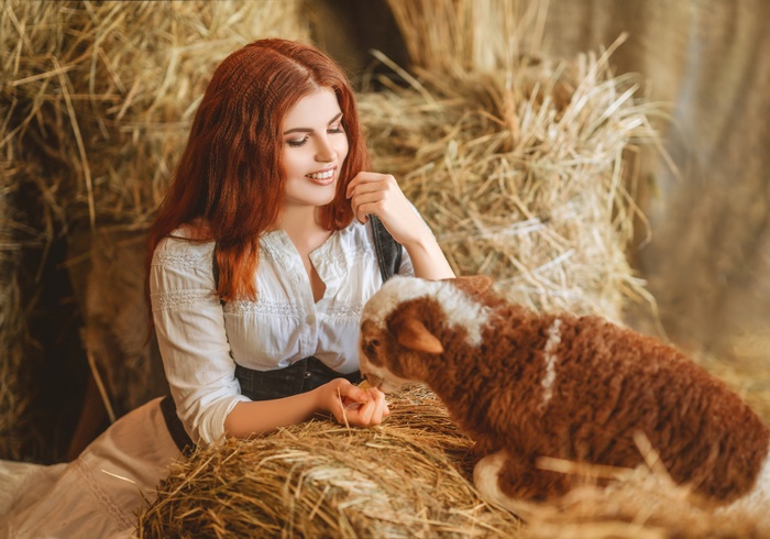 Woman feeding a lamb in a barn