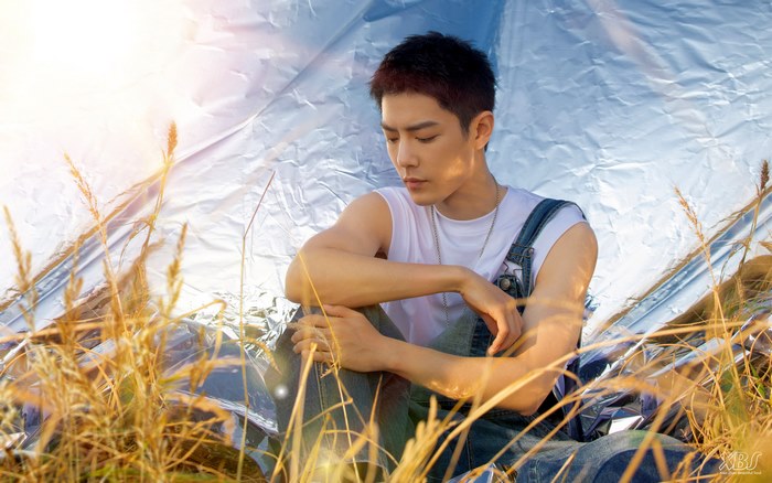 Xiao Zhan in overalls sitting in tall grass