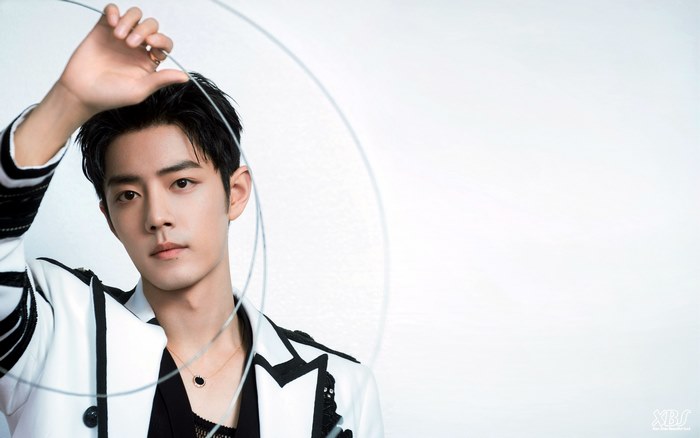 Xiao Zhan Portrait with Circular Wire Art