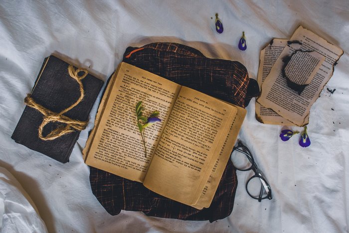 Open book with flowers and burnt pages