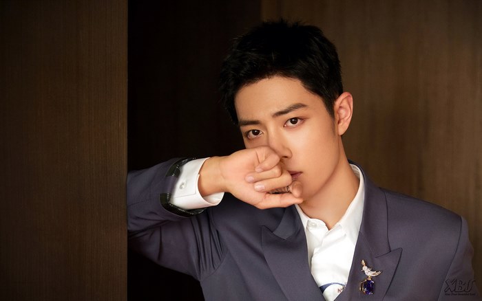 Xiao Zhan in a suit with a brooch