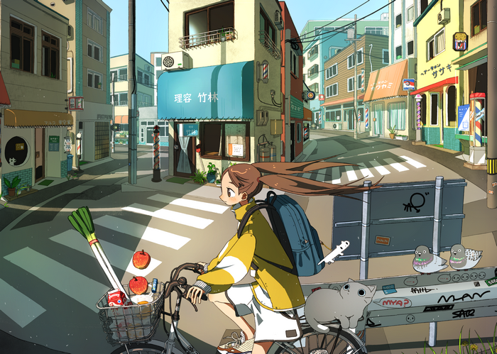 Girl riding a bike with groceries and a cat