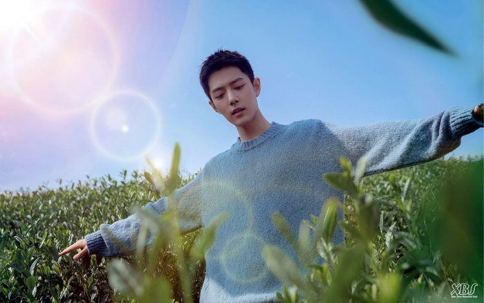 Xiao Zhan in a blue sweater in a tea field