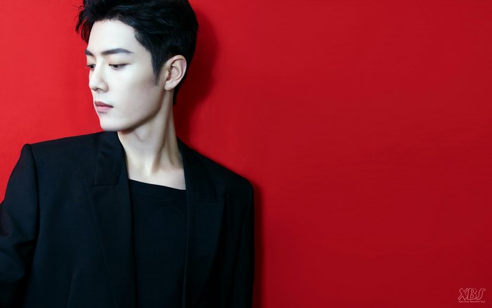 Xiao Zhan in a black suit against a red background