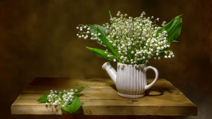 Lily of the valley flowers in a white watering can