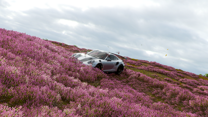 Silver Porsche 911 GT2 RS in a field of pink flowers