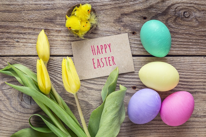Happy Easter with Tulips and Eggs 4K