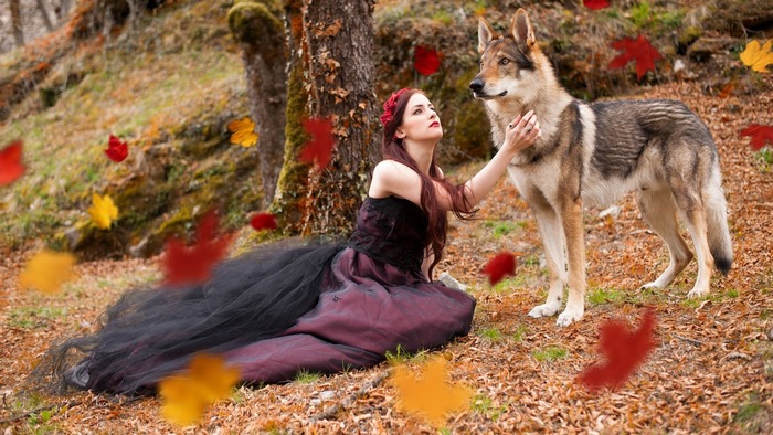 Model and Czechoslovakian Wolfdog in Autumn Scene