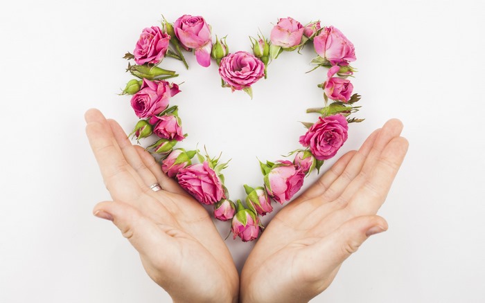 Hands holding a heart made of pink roses