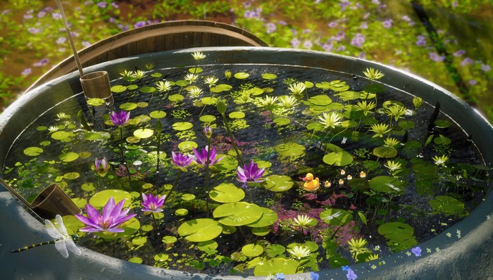 Water lilies in a pond with a dragonfly and rubber ducks