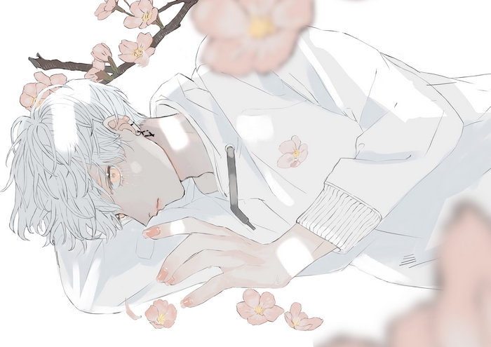 Anime Boy with White Hair and Cherry Blossoms