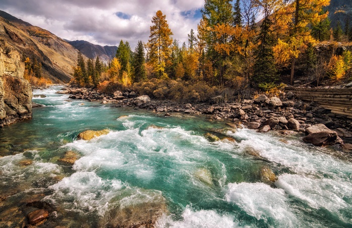 Turquoise River Rapids Flow Through Autumn Forest