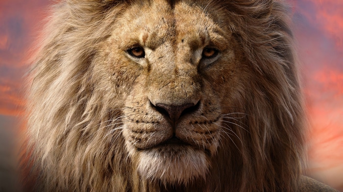 Mufasa from The Lion King in 4K