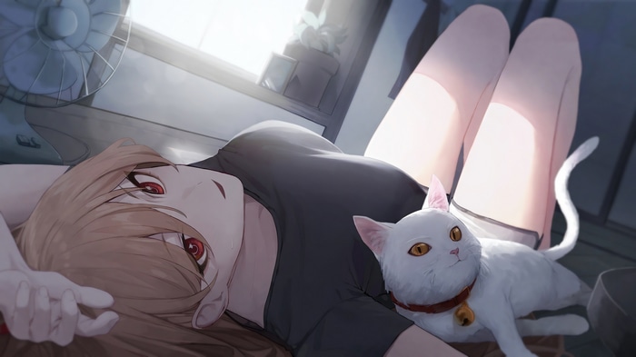 Power and a white cat in 4K