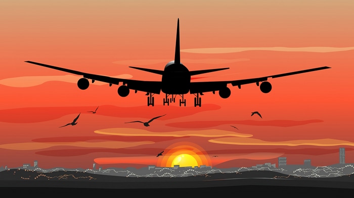 Airplane Landing at Sunset 4K
