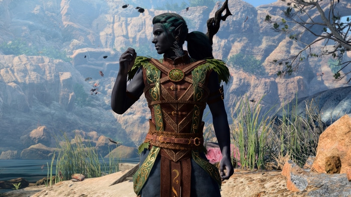 Drow in ornate armor in a rocky landscape