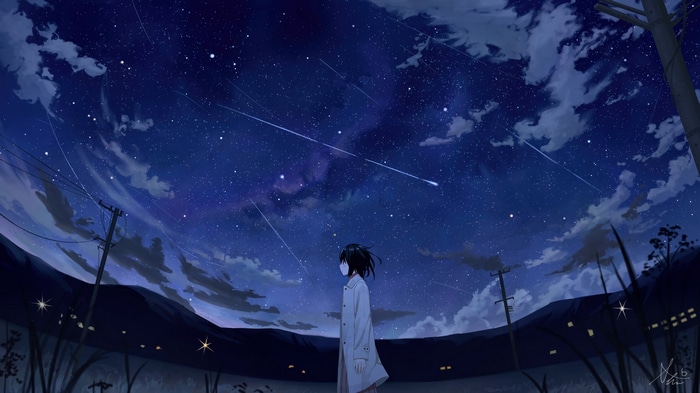 Anime girl watching shooting stars at night 4K