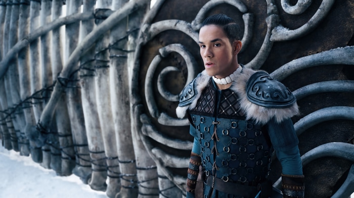Sokka from Avatar: The Last Airbender in 4K
