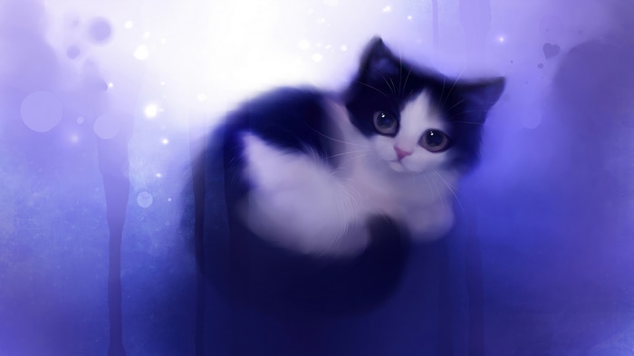 Cute black and white kitten digital art 4K