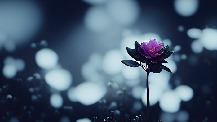 Purple flower with dark leaves in 4K