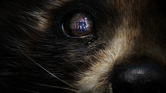 Rocket Raccoon eye reflection Guardians of the Galaxy Vol. 3 4K