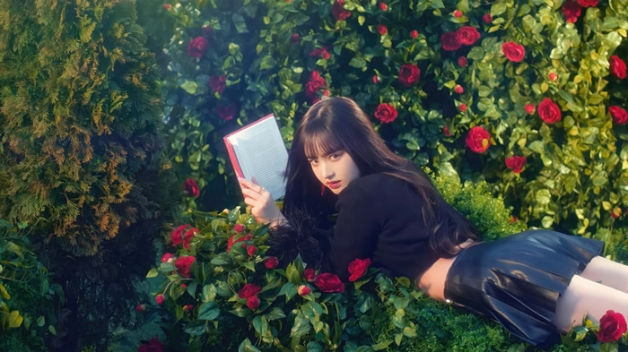 IVE Liz reading a book in a rose garden