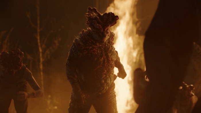 The Last of Us Series 4K