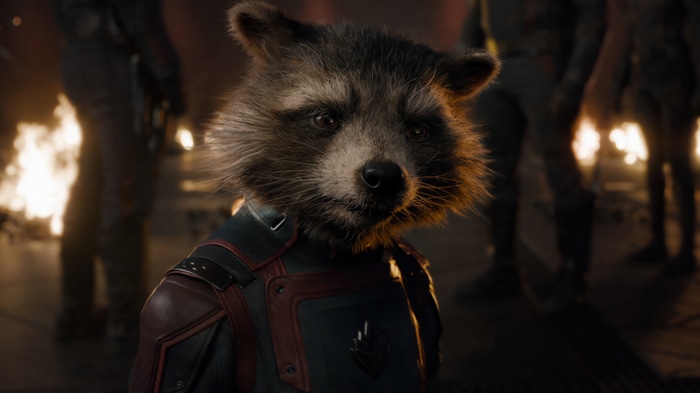Rocket Raccoon in Guardians of the Galaxy Vol. 3 4K