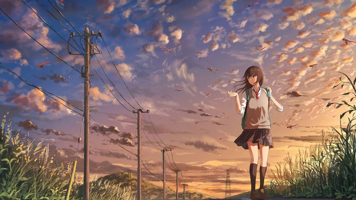 Anime girl walking with dragonflies at sunset 4K