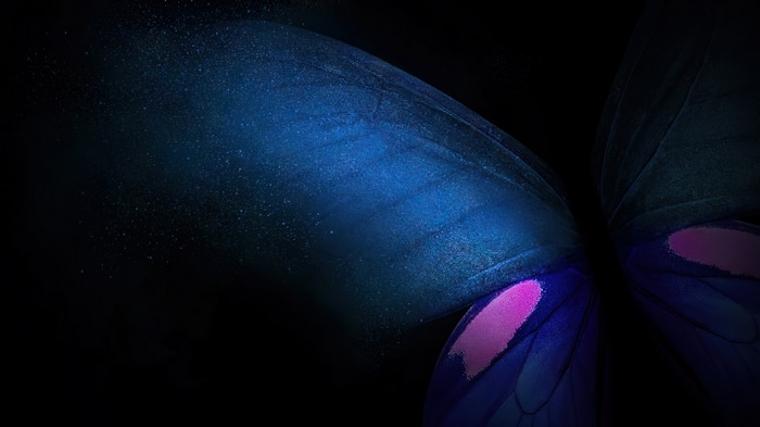 Samsung Butterfly Abstract 4K