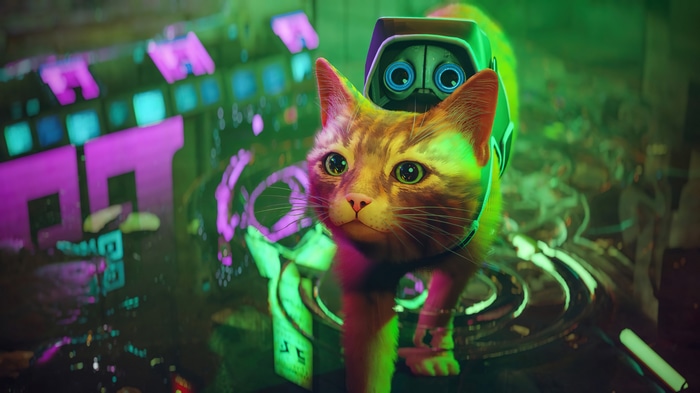 Stray Game 4K