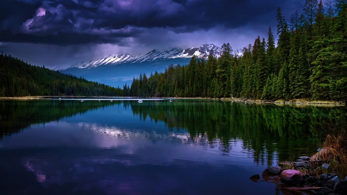 4K Forest River Scenery with Pine Trees and Mountains
