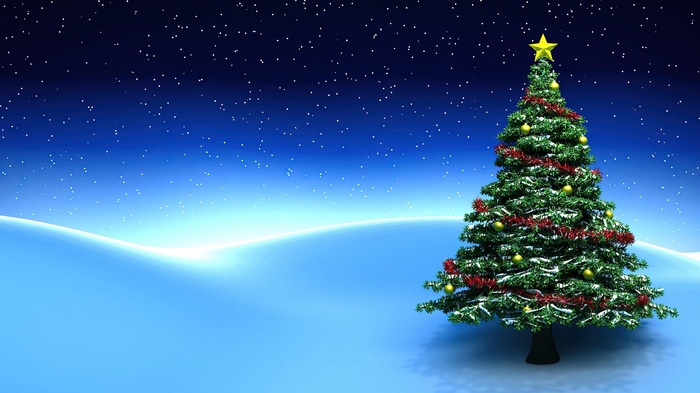 Christmas Tree in a Snowy Landscape Under a Starry Sky 4K