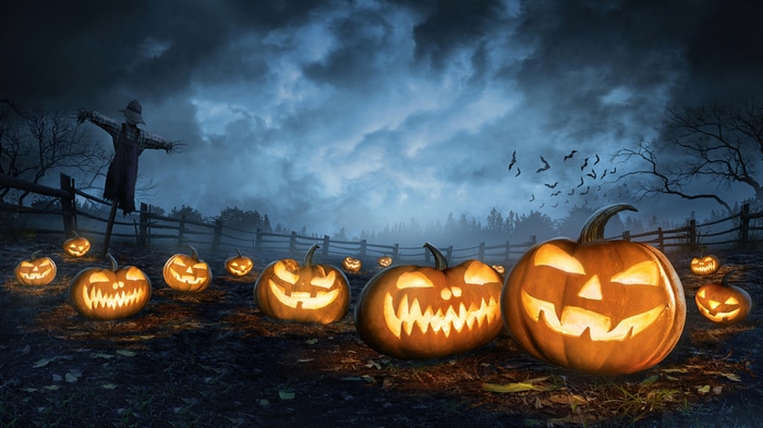 Halloween Night with Pumpkins and Scarecrow 4K
