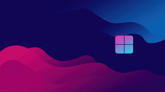 Windows 11 Logo on Abstract Colorful Background 4K