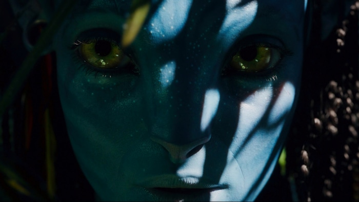 Neytiri from Avatar: The Way of Water 4K