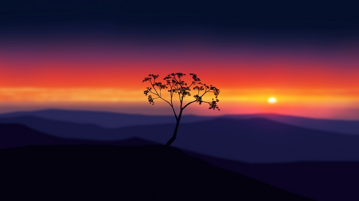 Silhouette of a tree against a vibrant sunset