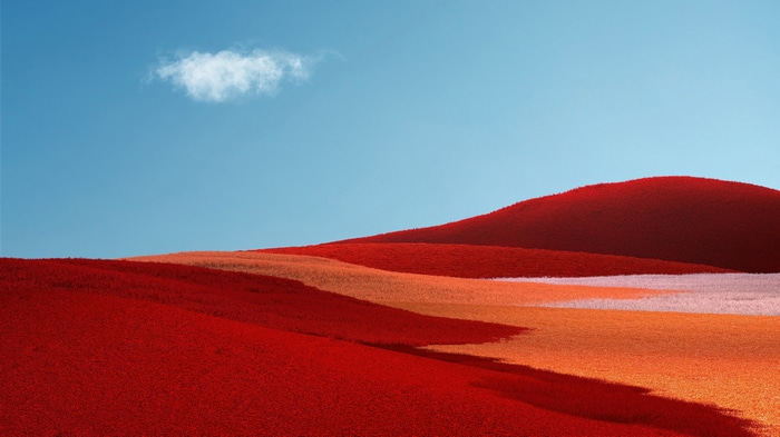 Microsoft Windows 11 4K Scenery