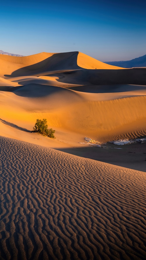 Death Valley Sand Dunes at Sunset