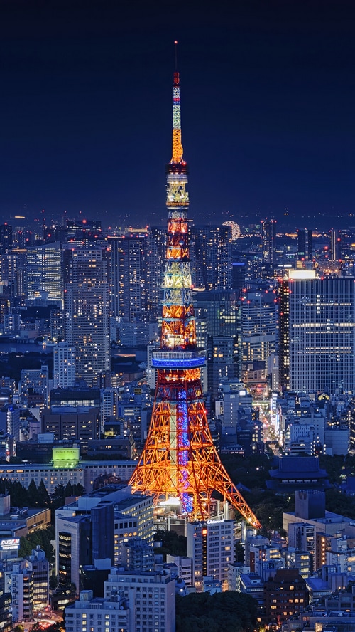 Tokyo Tower illuminated at night with city skyline
