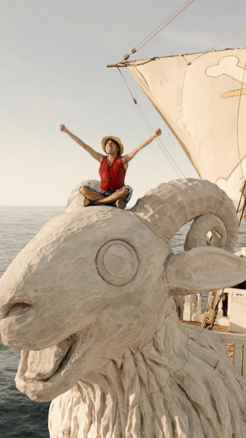 Monkey D. Luffy on the Going Merry ship