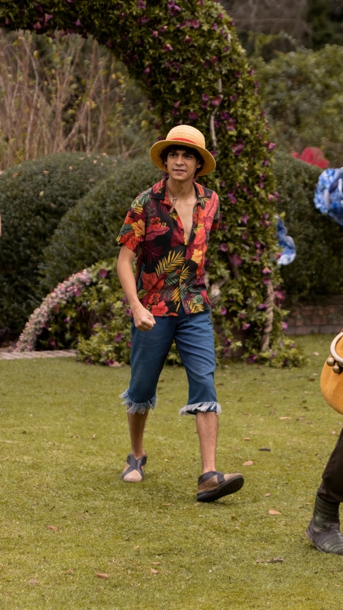 Monkey D. Luffy in a Hawaiian shirt and straw hat