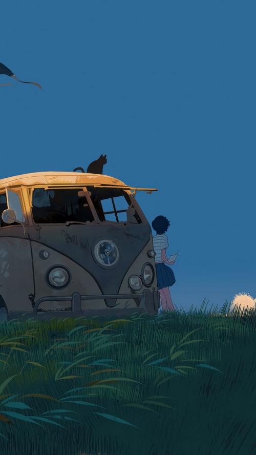Girl and cat on a Volkswagen van in a field